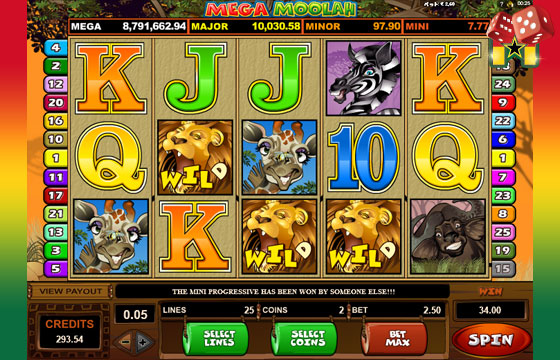 Mega Moolah Slot Win